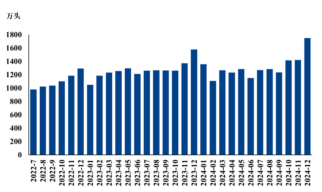 生猪：2024年12月生猪销售数据解读